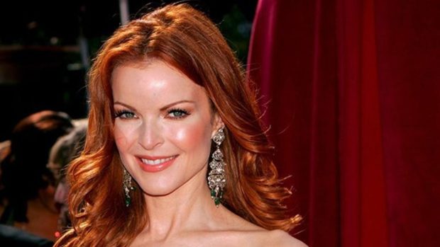 Did Marcia Cross Go Under the Knife? Body Measurements and More!